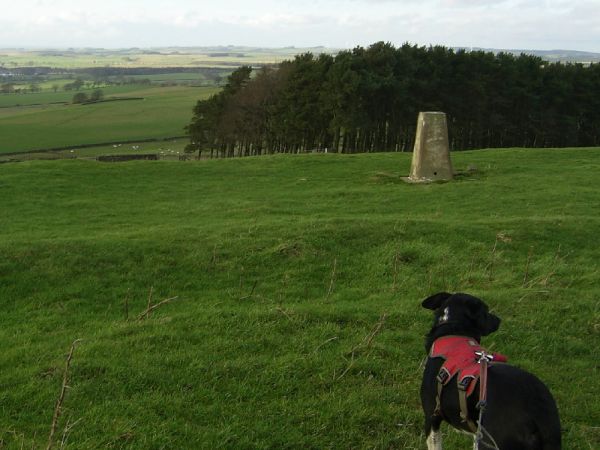 warden hill summit